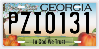 GA license plate PZI0131