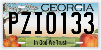 GA license plate PZI0133