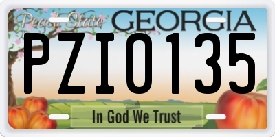 GA license plate PZI0135