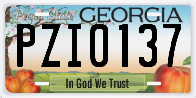 GA license plate PZI0137