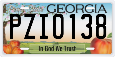 GA license plate PZI0138