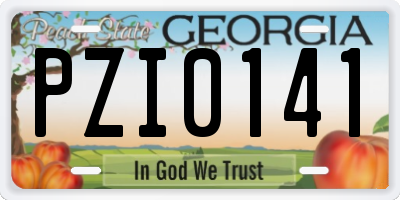 GA license plate PZI0141