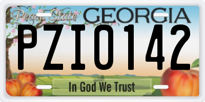 GA license plate PZI0142