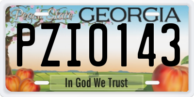 GA license plate PZI0143