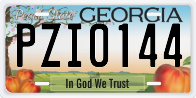 GA license plate PZI0144