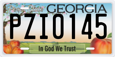 GA license plate PZI0145