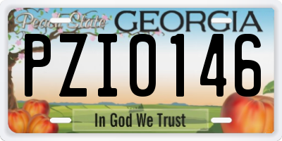 GA license plate PZI0146