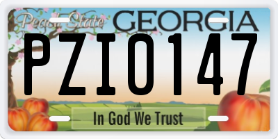 GA license plate PZI0147