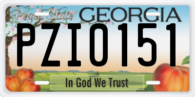 GA license plate PZI0151