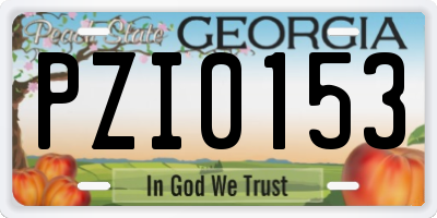 GA license plate PZI0153