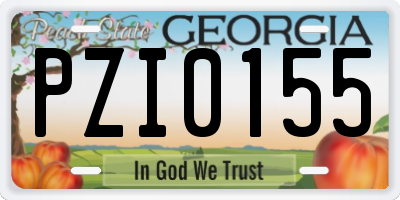 GA license plate PZI0155