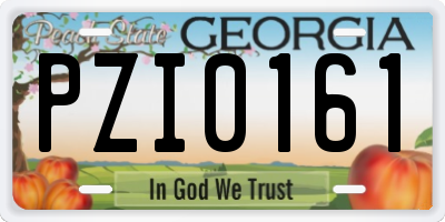 GA license plate PZI0161