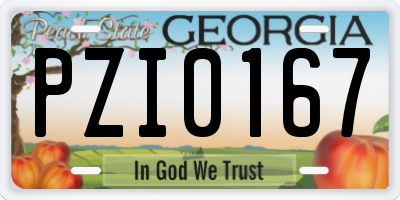 GA license plate PZI0167