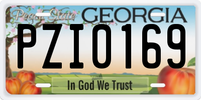 GA license plate PZI0169