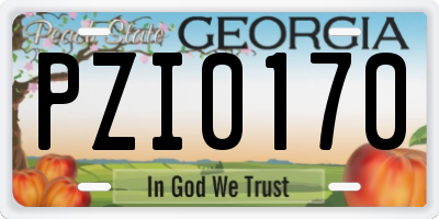 GA license plate PZI0170