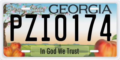 GA license plate PZI0174