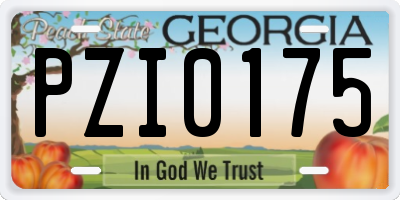 GA license plate PZI0175
