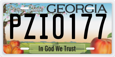 GA license plate PZI0177
