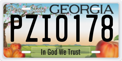 GA license plate PZI0178