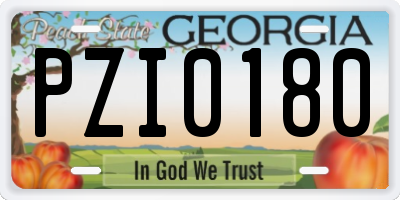 GA license plate PZI0180
