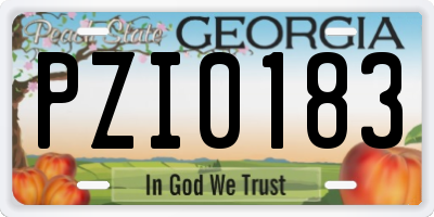 GA license plate PZI0183