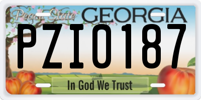 GA license plate PZI0187