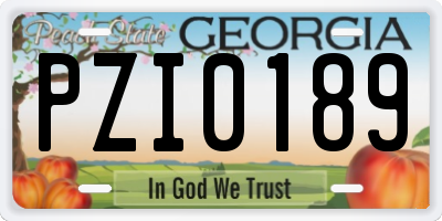 GA license plate PZI0189