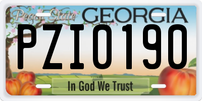 GA license plate PZI0190