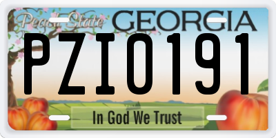 GA license plate PZI0191