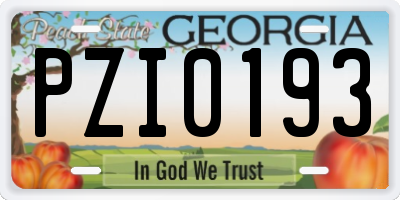 GA license plate PZI0193