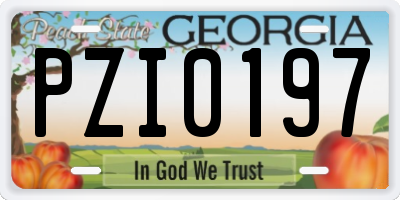 GA license plate PZI0197
