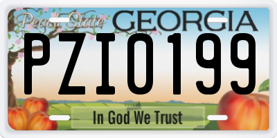 GA license plate PZI0199