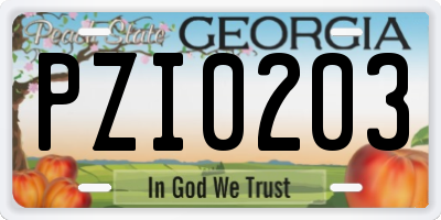 GA license plate PZI0203