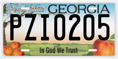 GA license plate PZI0205