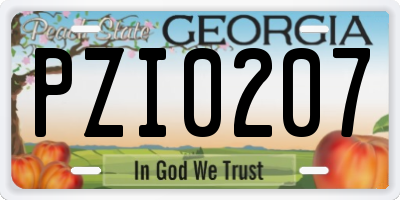 GA license plate PZI0207