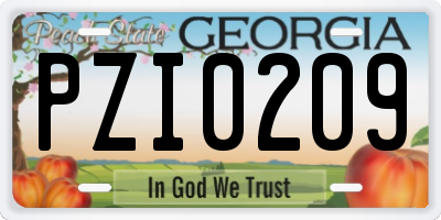 GA license plate PZI0209