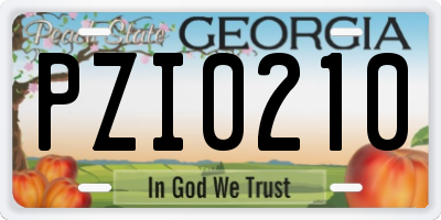 GA license plate PZI0210