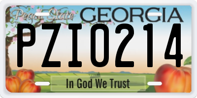GA license plate PZI0214