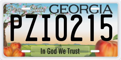 GA license plate PZI0215