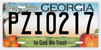GA license plate PZI0217