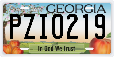 GA license plate PZI0219