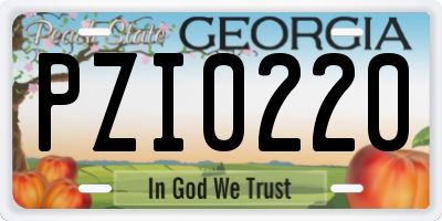 GA license plate PZI0220