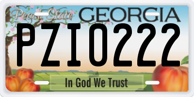 GA license plate PZI0222