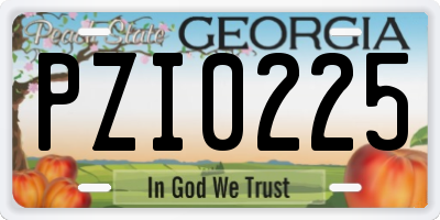 GA license plate PZI0225