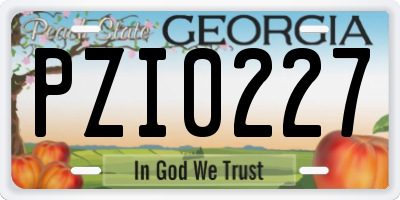 GA license plate PZI0227