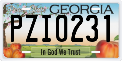 GA license plate PZI0231