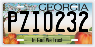 GA license plate PZI0232