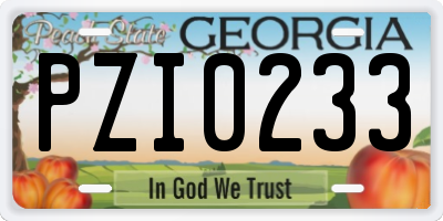 GA license plate PZI0233
