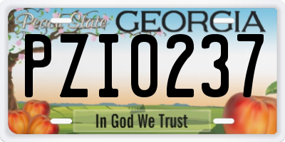 GA license plate PZI0237