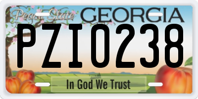 GA license plate PZI0238